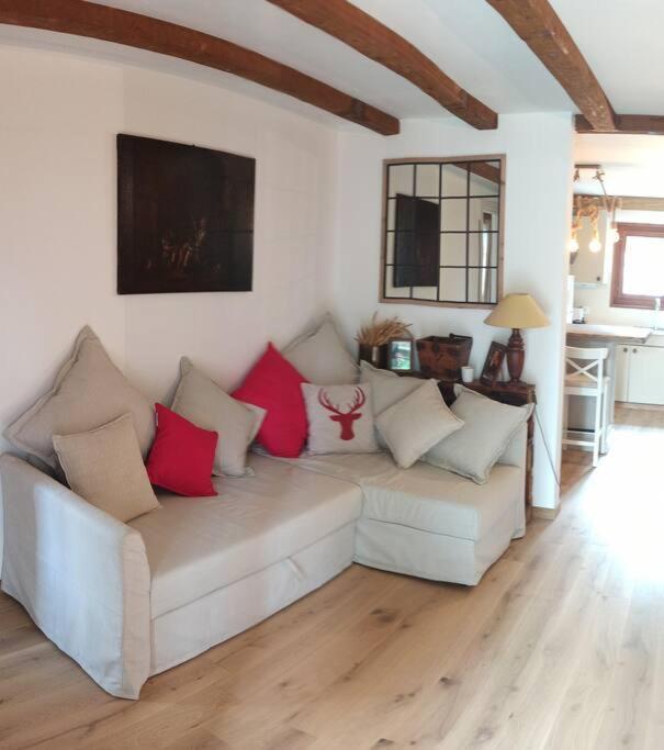Cozy Apartment In The Heart Of The Alps Chateau-d'Oex Buitenkant foto