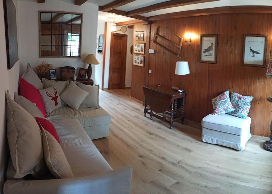 Cozy Apartment In The Heart Of The Alps Chateau-d'Oex Buitenkant foto