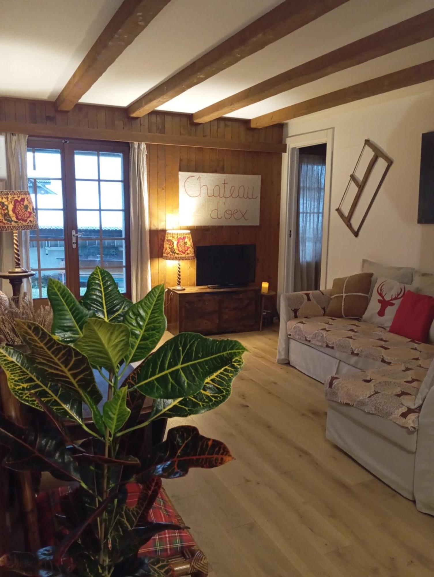 Cozy Apartment In The Heart Of The Alps Chateau-d'Oex Buitenkant foto