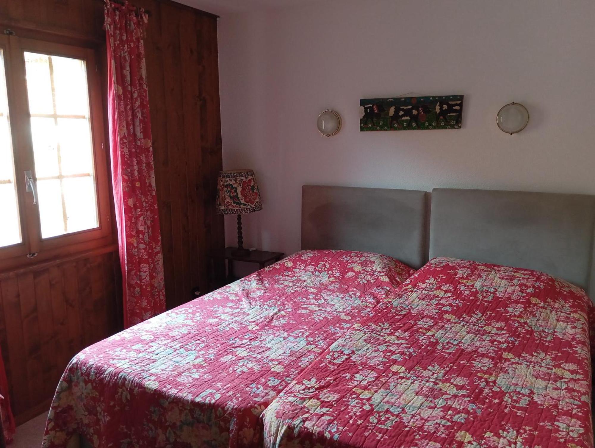 Cozy Apartment In The Heart Of The Alps Chateau-d'Oex Buitenkant foto