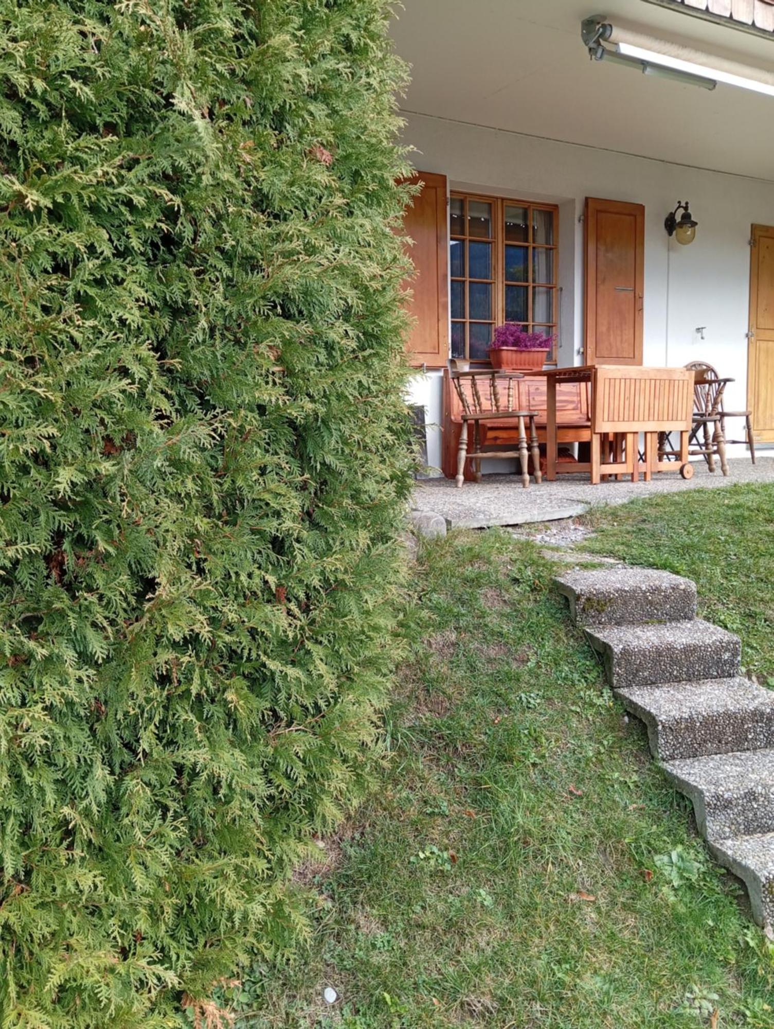 Cozy Apartment In The Heart Of The Alps Chateau-d'Oex Buitenkant foto